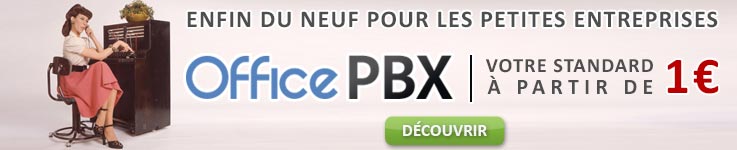 Standards sur lignes IP