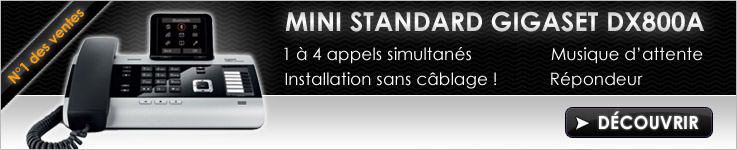Standards sur lignes IP