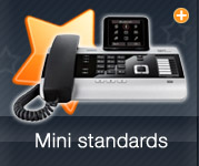 Mini Standards
