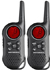T6