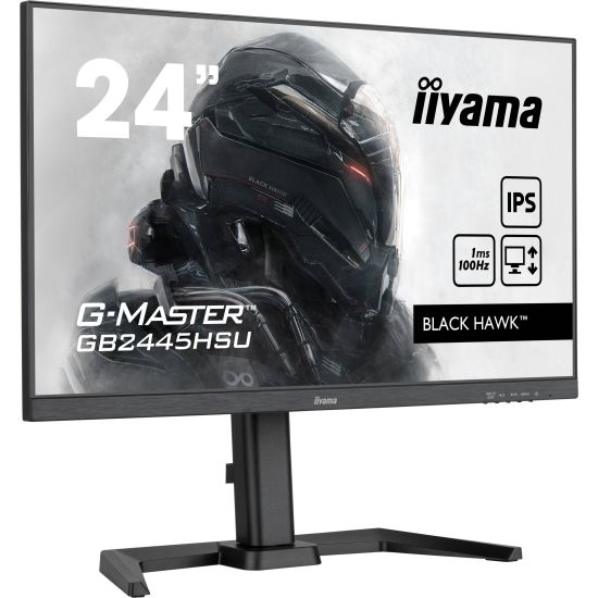 Iiyama 24
