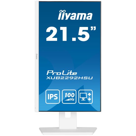 LED IIYAMA 22