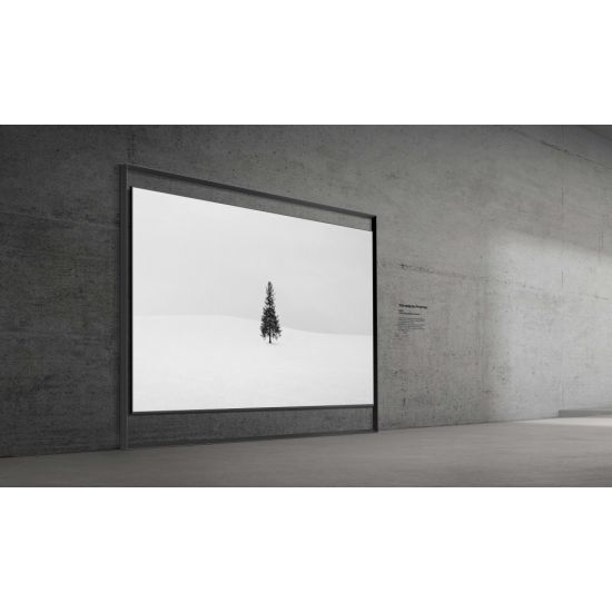 130 pouces - 330cm de diagonale - Samsung 