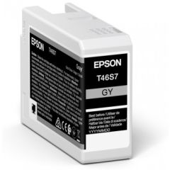 Epson UltraChrome Pro Singlepack Gray T46S7 10
