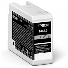 Epson UltraChrome Pro Singlepack Light Gray T46S9