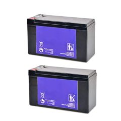 Batteries pour portique Vigicom PS-980N - BT-980N