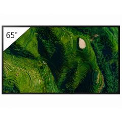Sony FW-65BZ35P