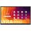 Newline Lyra Pro Lite 65"