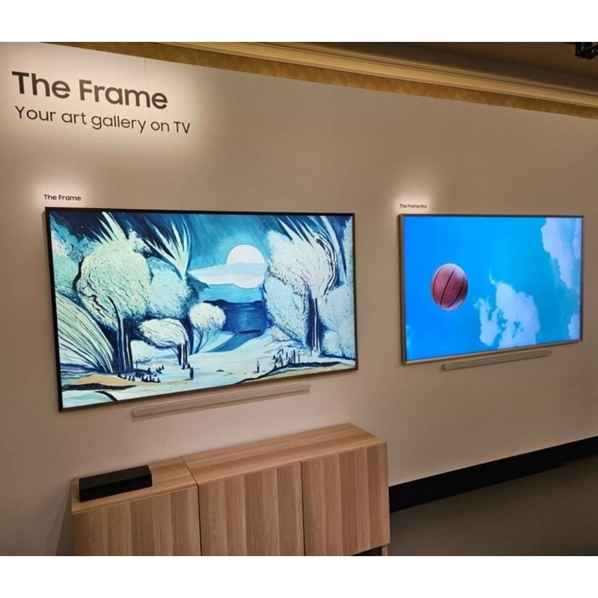 The Frame Pro