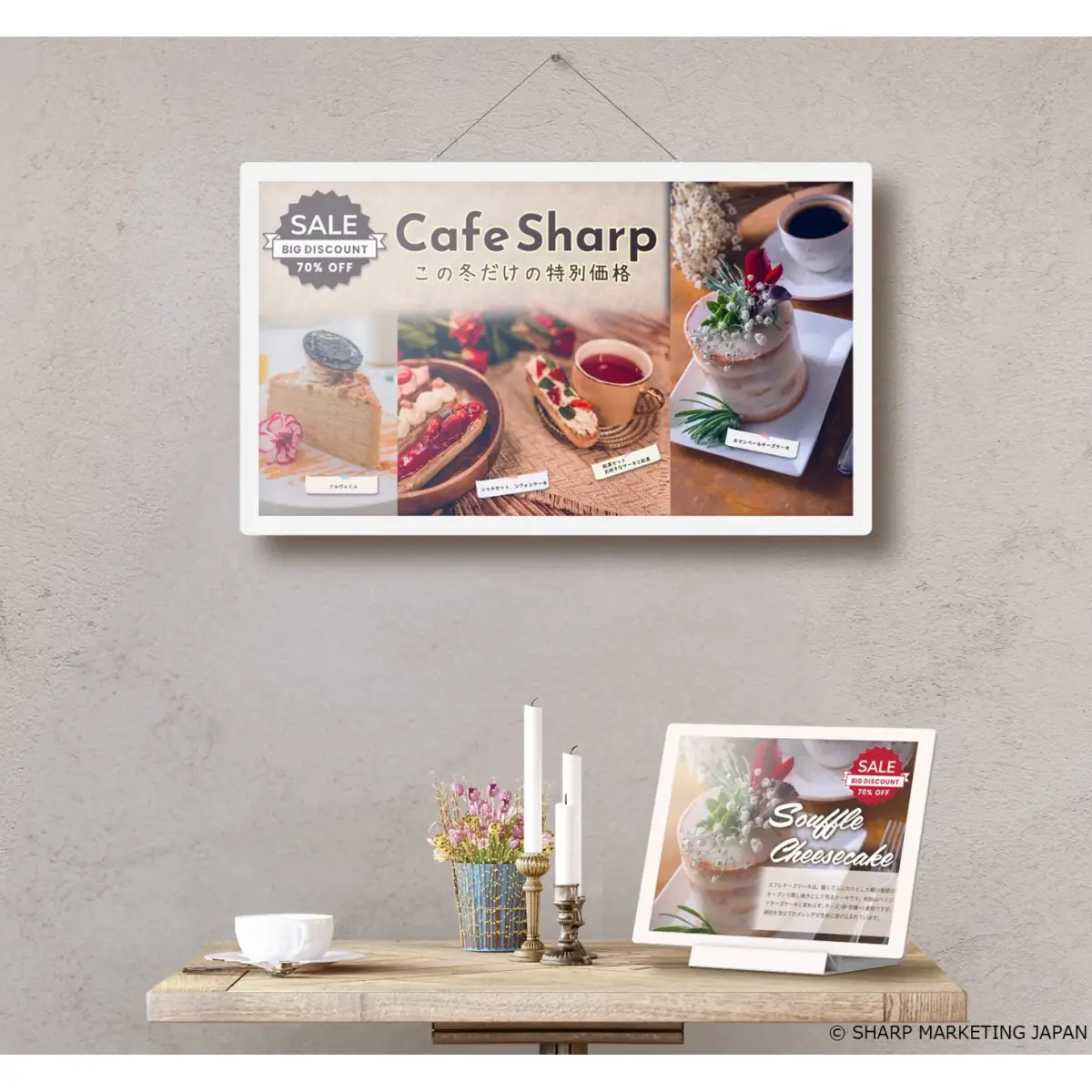 Sharp EP-C251 - ecran epaper