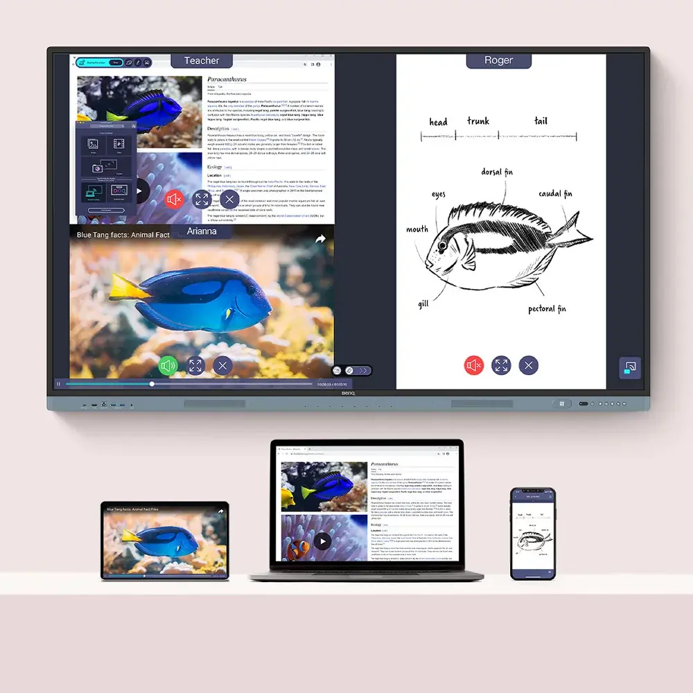 InstaShare - BenQ RP6504