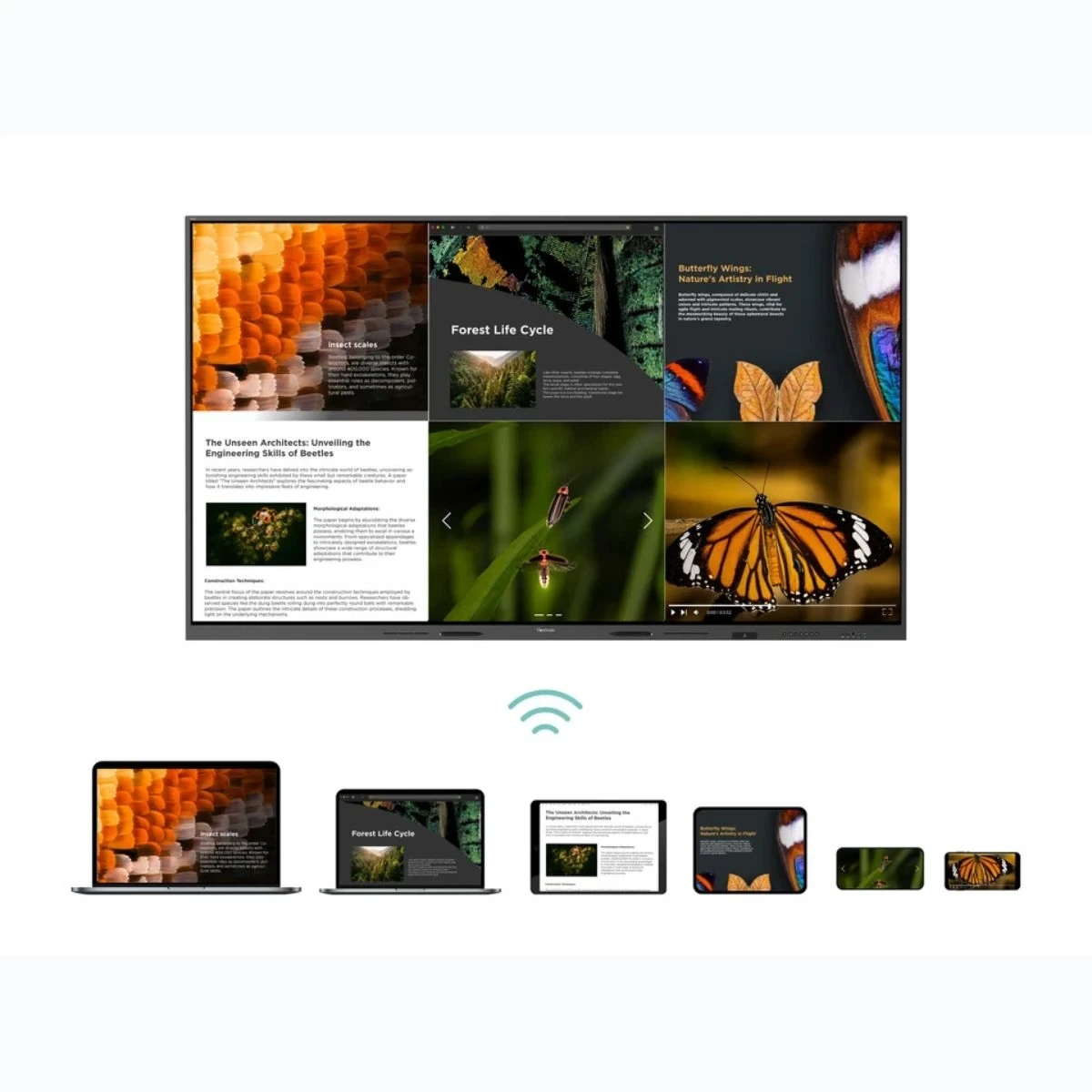 ViewSonic ViewBoard IFP 110