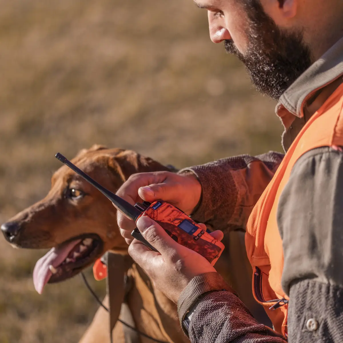 Midland G13 Blaze - Talkie Walkie battue - C1462.03