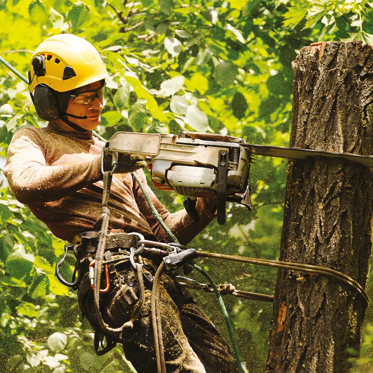 Pack Vokkero Compak 2 Terminaux Valise